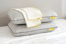 Load image into Gallery viewer, Brightr® Eclipse Pillow & Copper Pillow Protector Bundle