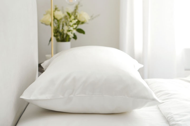 Brightr® 100% Silk 22 momme pillowcase